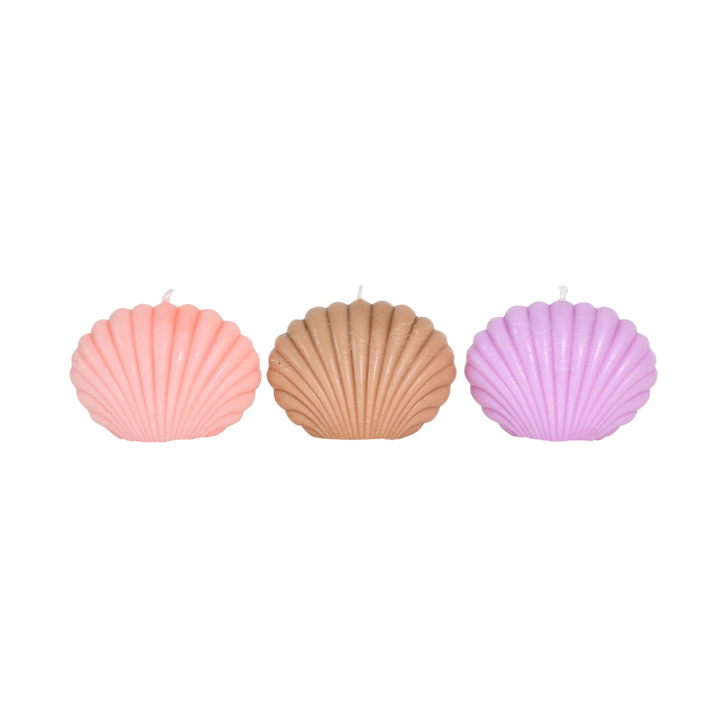 5 shell candles